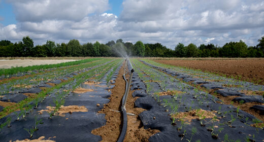 37 – Irrigation