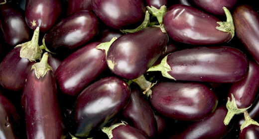 5 – Aubergine