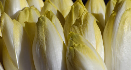 7 – Endive