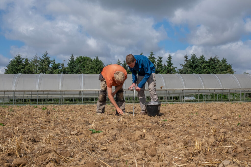 Analyse de sol en agriculture biologique