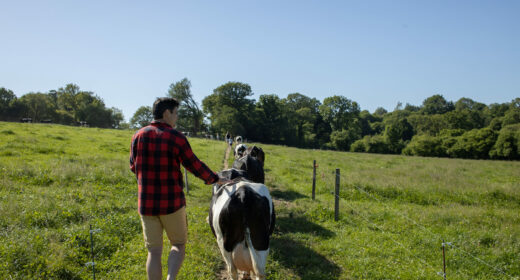 RS2995_FERME LE BUIS SONNANT © MATTHIEU CHANEL-74