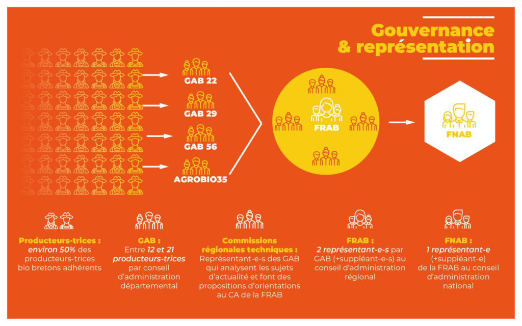 Schéma de gouvernance du réseau GAB-FRAB