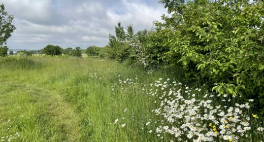 Fiche favoriser la biodiversité sur sa ferme