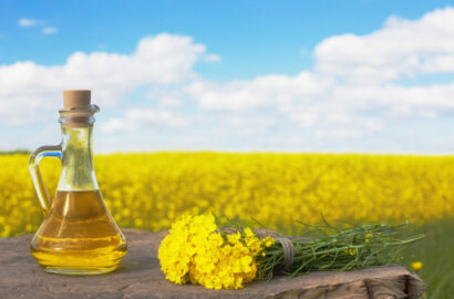 rapeseed oil (canola) on background field and sky