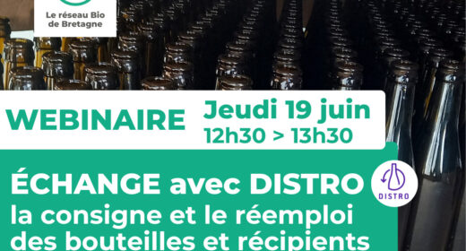 Brevo-Visuels-newsletter-3