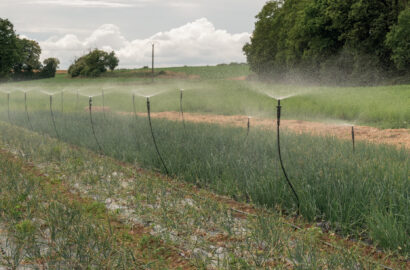 Capture d’écran 2025-11-13 123658