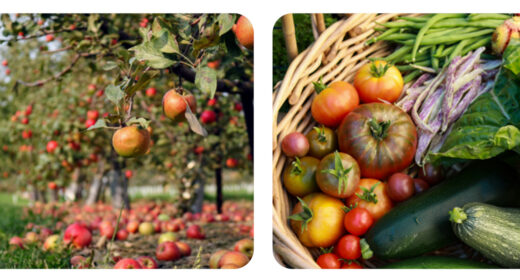 Capture d’écran 2026-04-03 132612