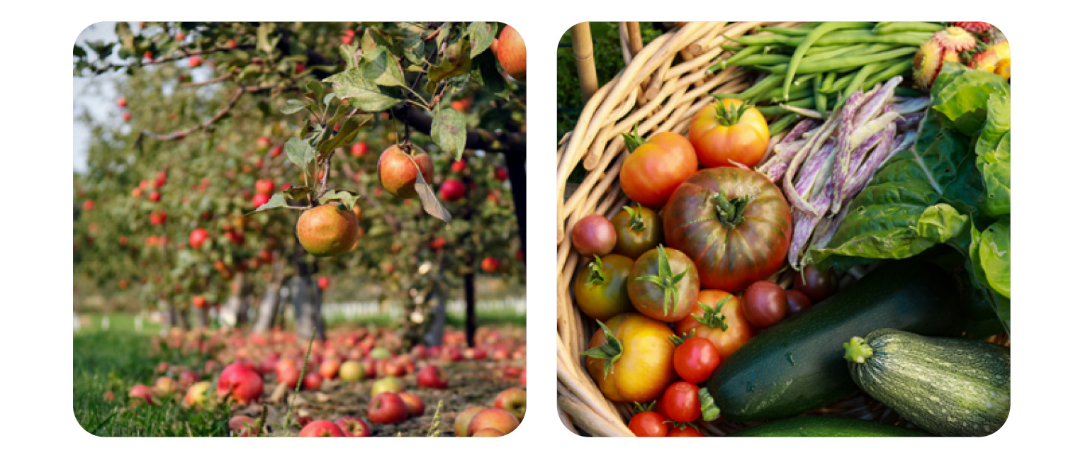 [Ille-et-Vilaine] Partager le foncier pour cultiver l'avenir : le guide pour se lancer dans l'installation d'un petit atelier de production bio sur une ferme en activité • Réseau GAB