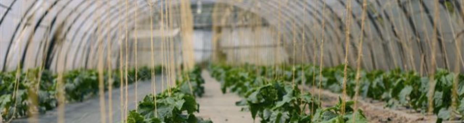 Le nouveau podcast “FERM’AUDIO EN MSV BIO !” lancé par le réseau bio ! • Réseau GAB